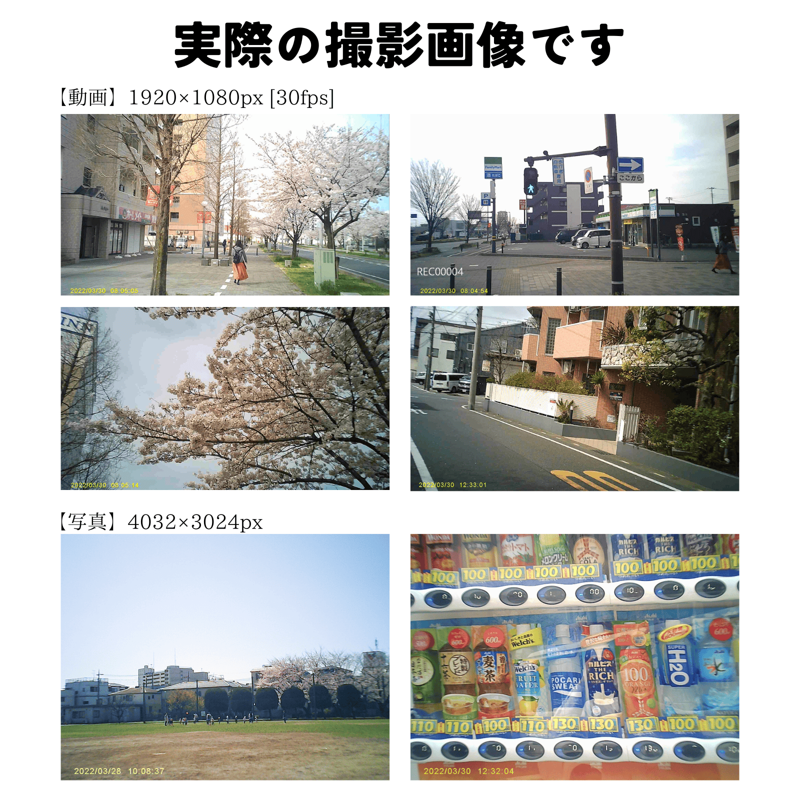 『Samurai Ash』（サムライ アッシュ）